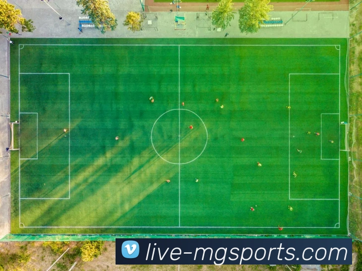 满冠体育平台生态图