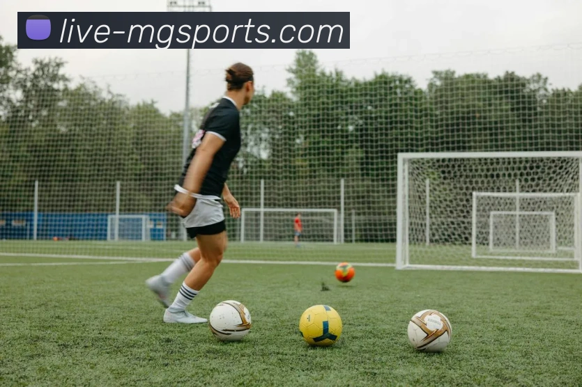 满冠体育全站App